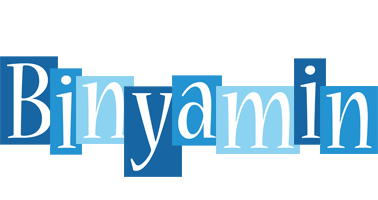 Binyamin winter logo