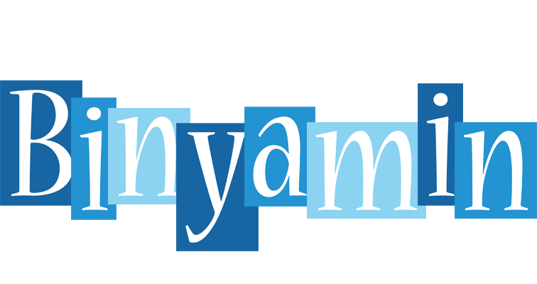 Binyamin winter logo