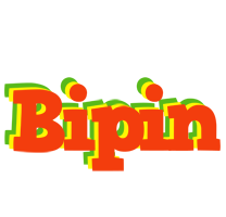 Bipin bbq logo