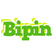 Bipin picnic logo