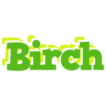 Birch picnic logo