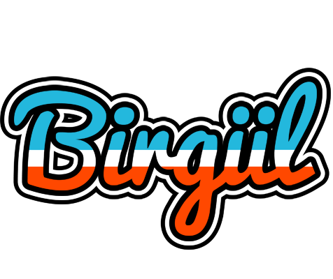 Birgül america logo