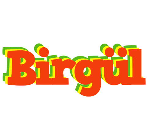 Birgül bbq logo