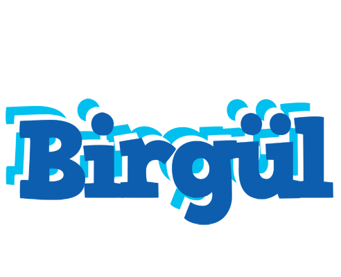 Birgül business logo