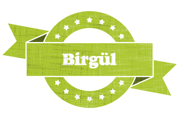 Birgül change logo