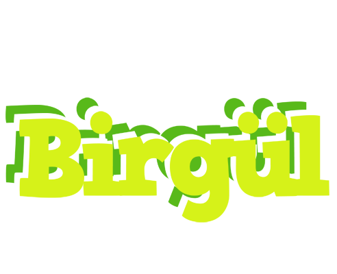Birgül citrus logo