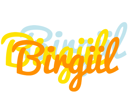 Birgül energy logo
