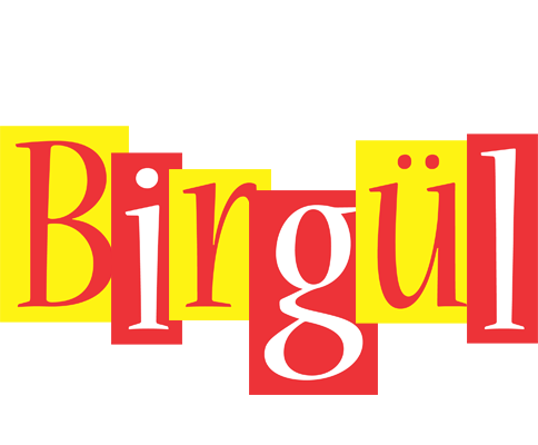 Birgül errors logo