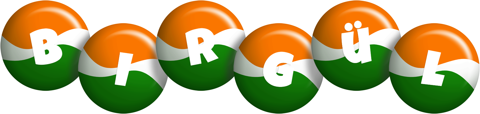 Birgül india logo
