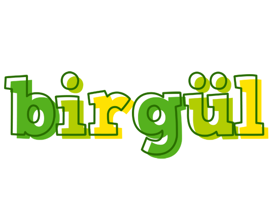 Birgül juice logo