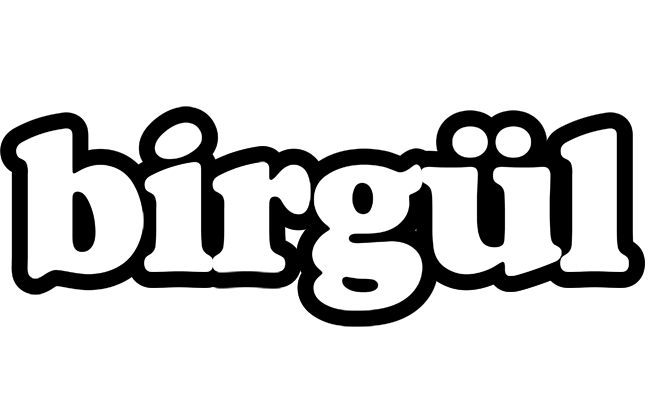 Birgül panda logo