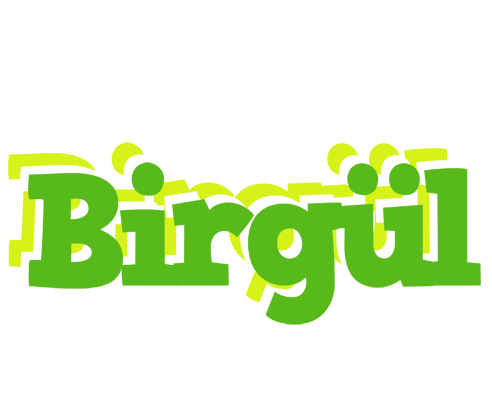 Birgül picnic logo