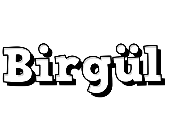 Birgül snowing logo