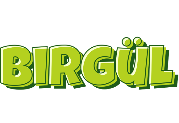Birgül summer logo