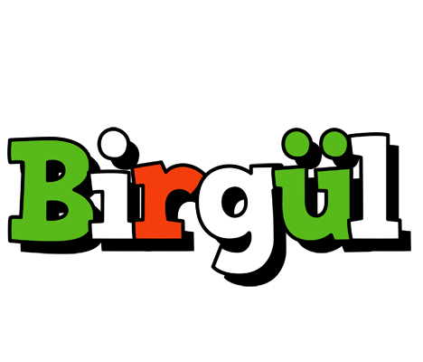 Birgül venezia logo