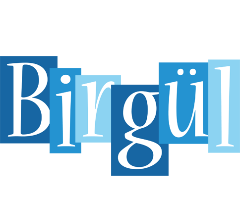 Birgül winter logo