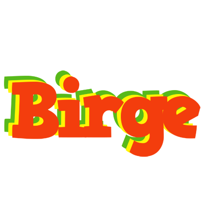 Birge bbq logo