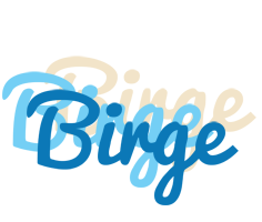 Birge breeze logo