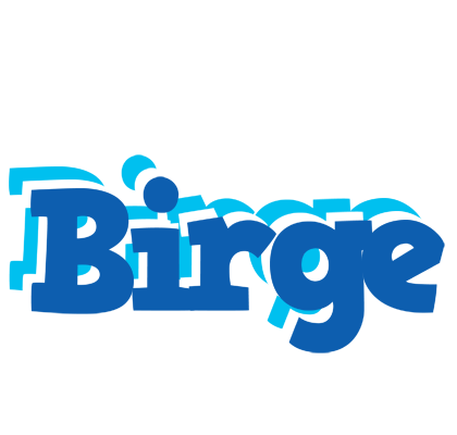 Birge business logo