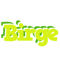 Birge citrus logo