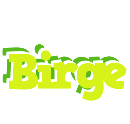 Birge citrus logo