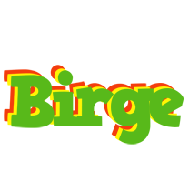 Birge crocodile logo