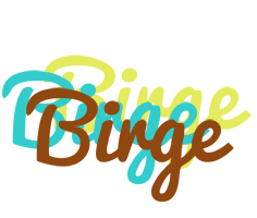 Birge cupcake logo