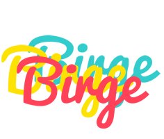 Birge disco logo