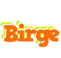 Birge healthy logo