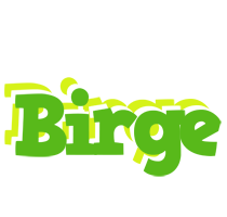 Birge picnic logo