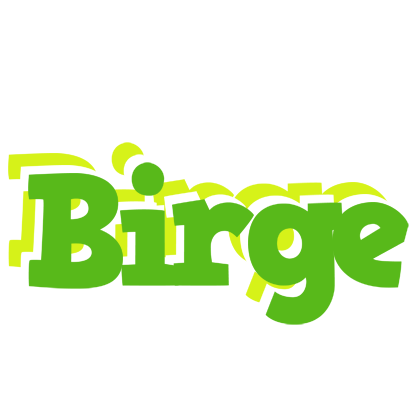 Birge picnic logo