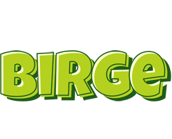 Birge summer logo