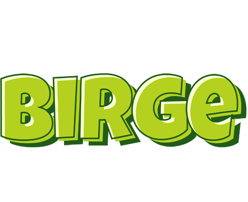 Birge summer logo