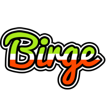 Birge superfun logo