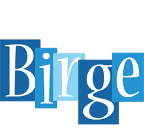 Birge winter logo