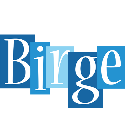Birge winter logo