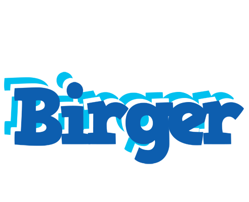 Birger business logo