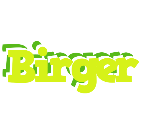 Birger citrus logo