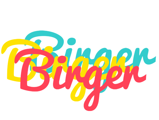 Birger disco logo