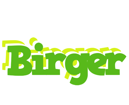 Birger picnic logo