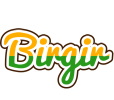 Birgir banana logo