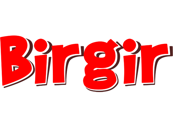 Birgir basket logo