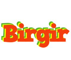 Birgir bbq logo