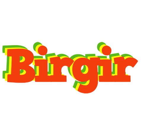 Birgir bbq logo