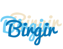 Birgir breeze logo