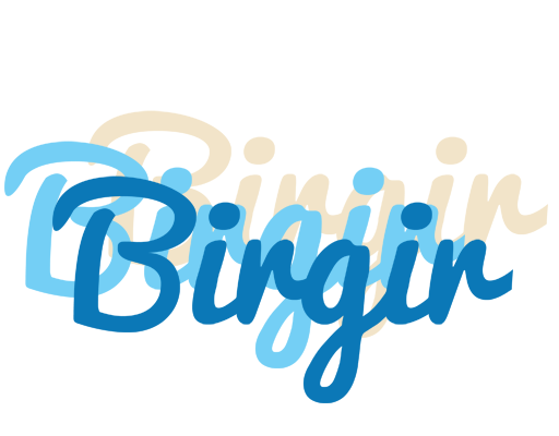 Birgir breeze logo