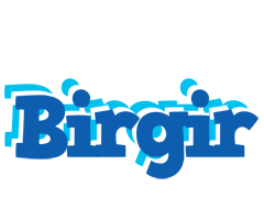 Birgir business logo