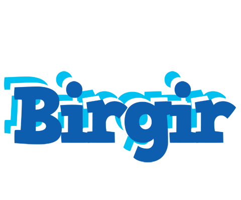 Birgir business logo