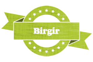 Birgir change logo