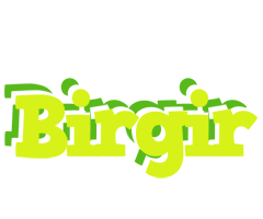 Birgir citrus logo